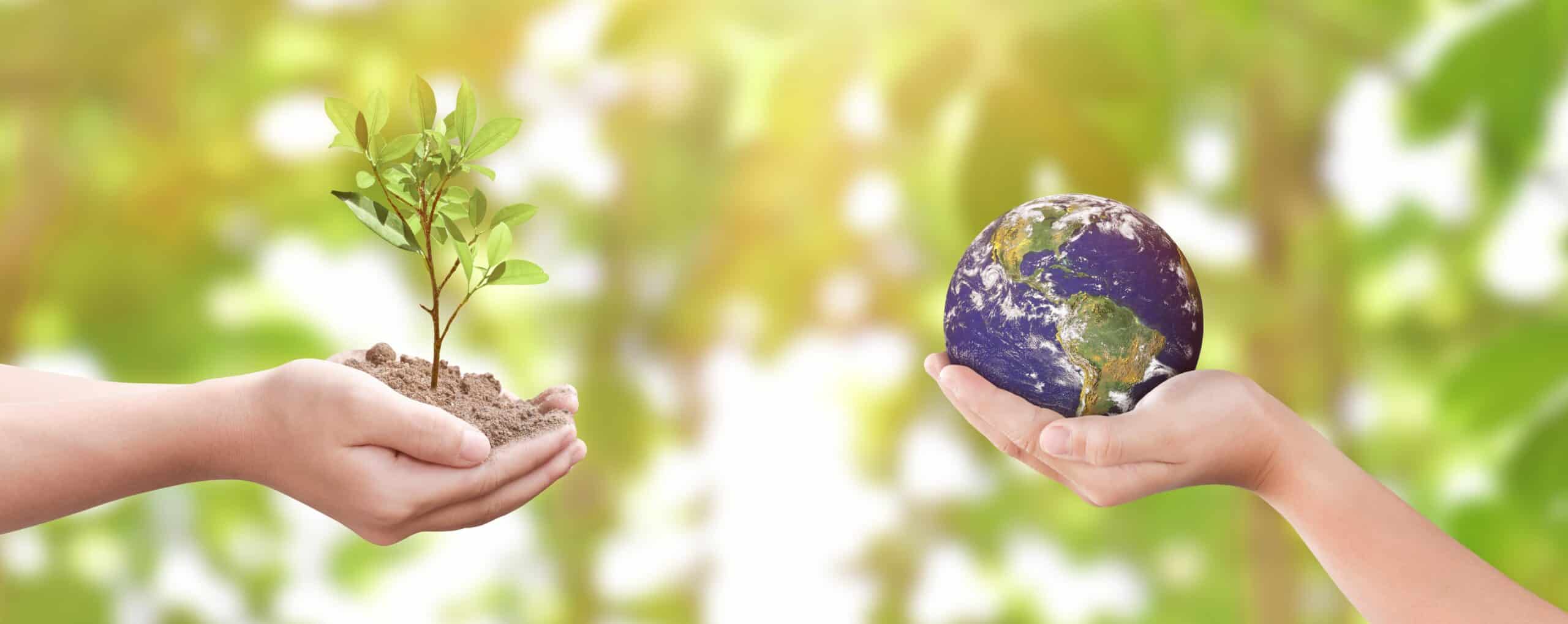 environment-day-concept-child-hands-holding-tree-2022-11-16-18-04-02-utc-min
