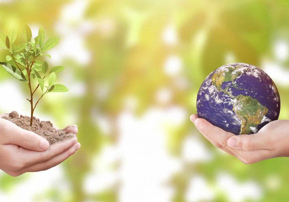 environment-day-concept-child-hands-holding-tree-2022-11-16-18-04-02-utc-min